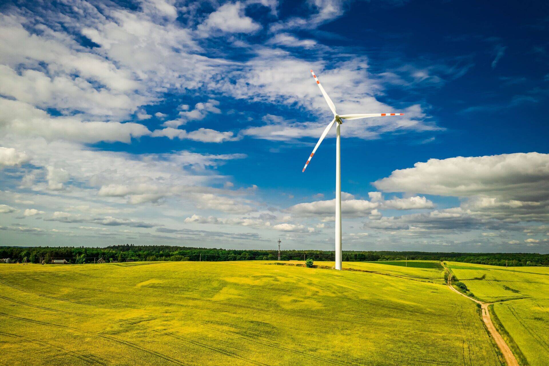 wind-turbines-on-green-field-alternative-energy-i-2025-03-24-07-58-04-utc-min.jpg