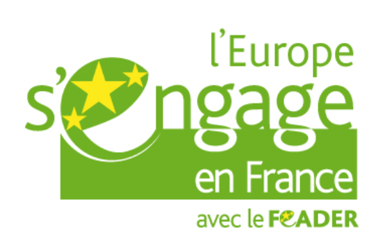 image-article-epsa-ie-3.png