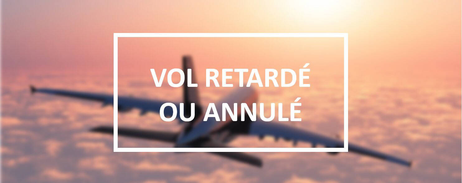 vol-annule.jpg