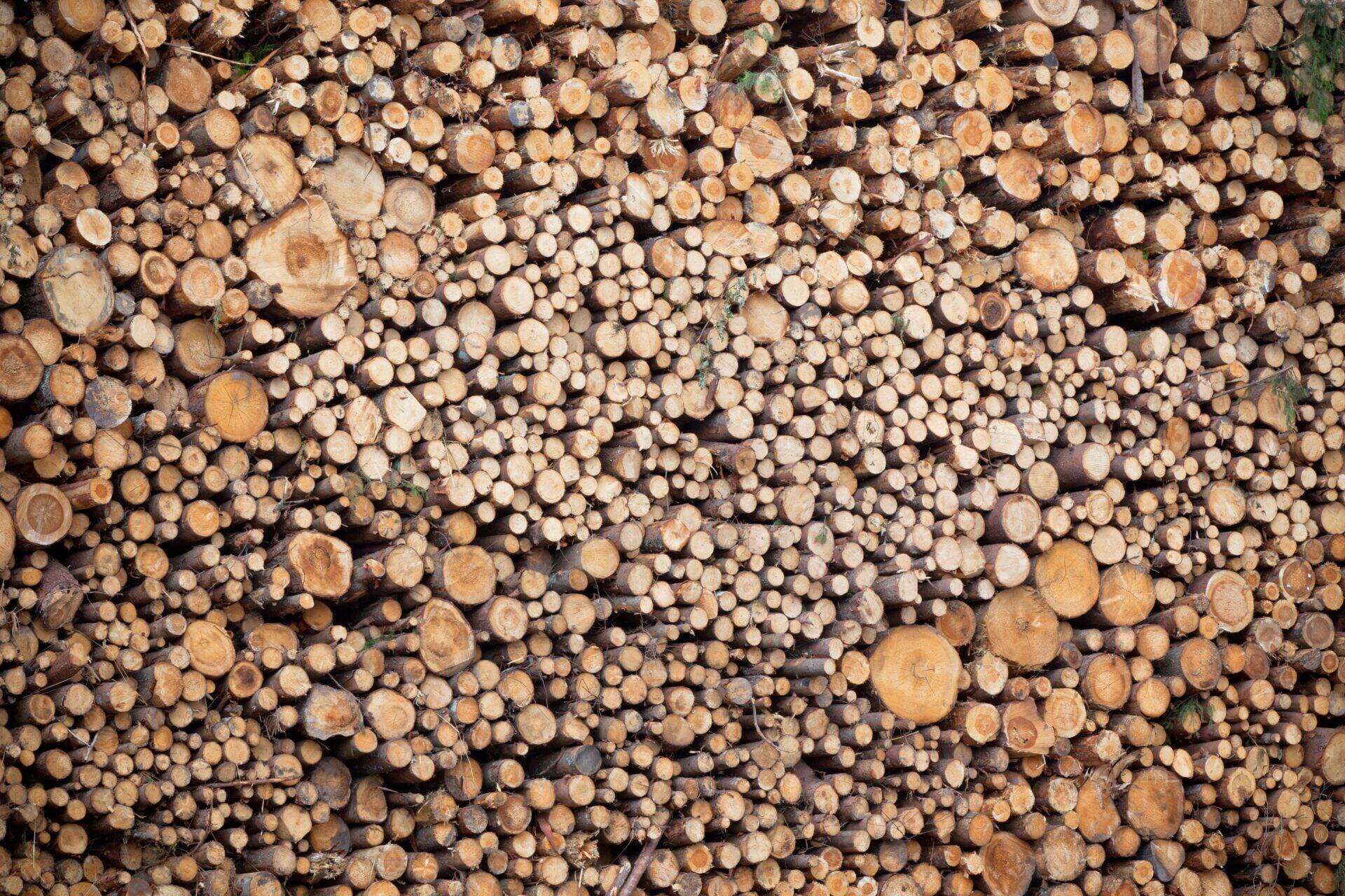 Appels à projets dans le secteur du bois - EPSA