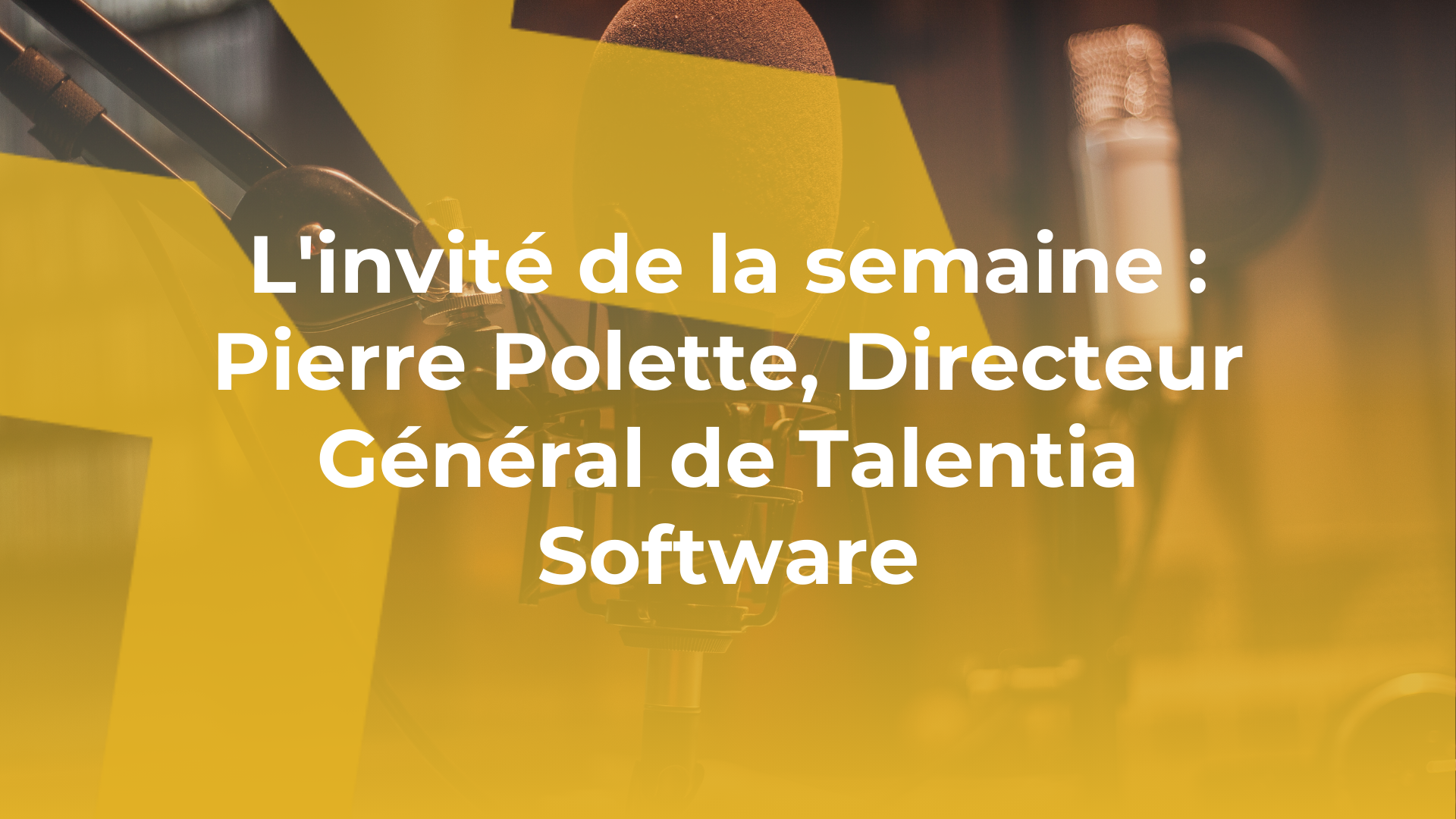 Pierre Polette, Directeur Général de Talentia Software