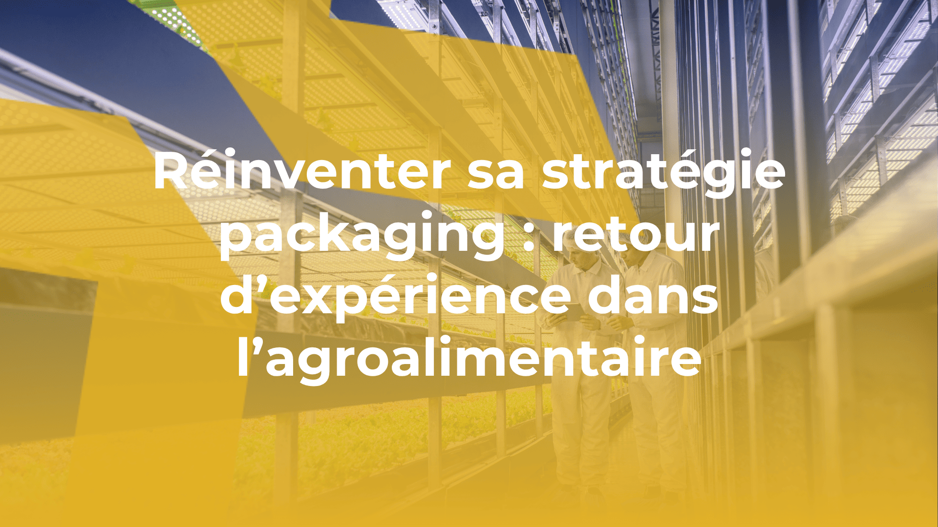 Réinventer sa stratégie packaging : retour d’expérience dans l’agroalimentaire