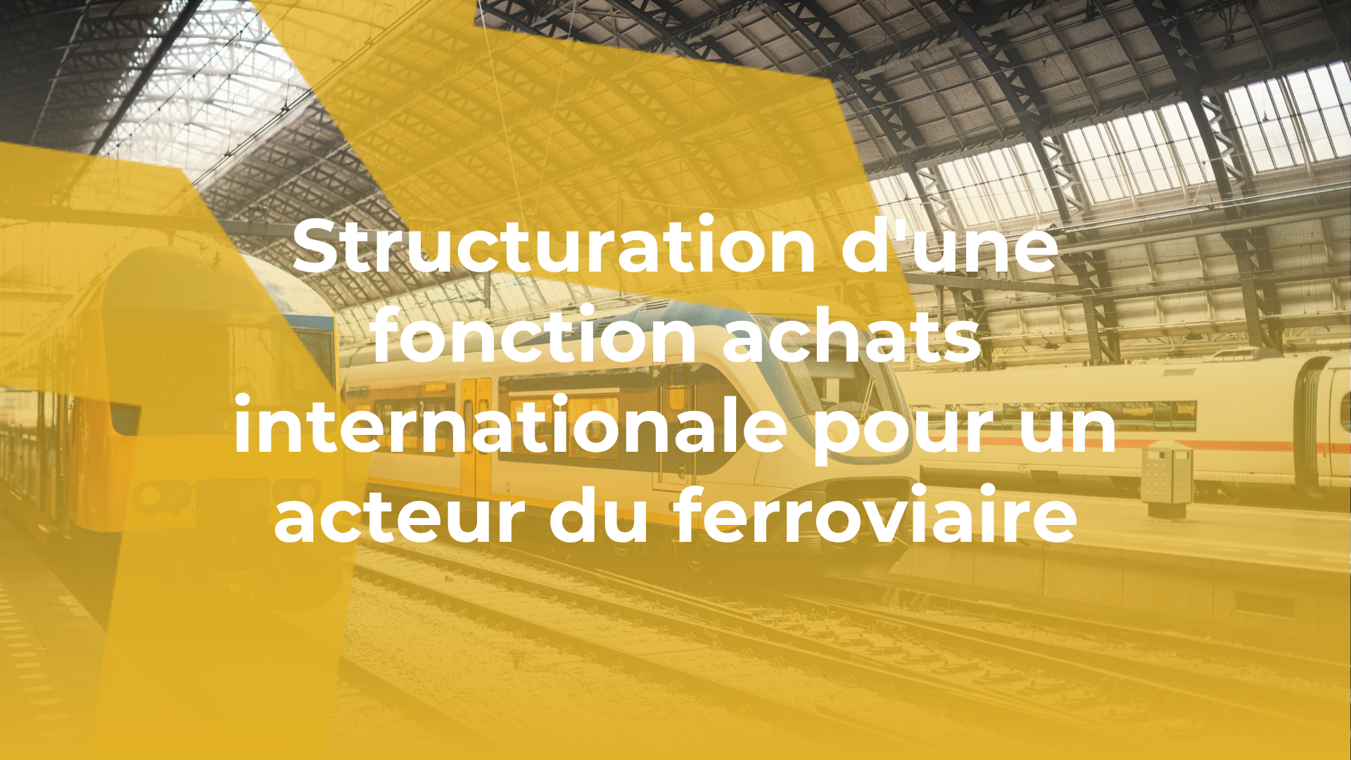 Structuration d'une fonction achats internationale pour un acteur du ferroviaire