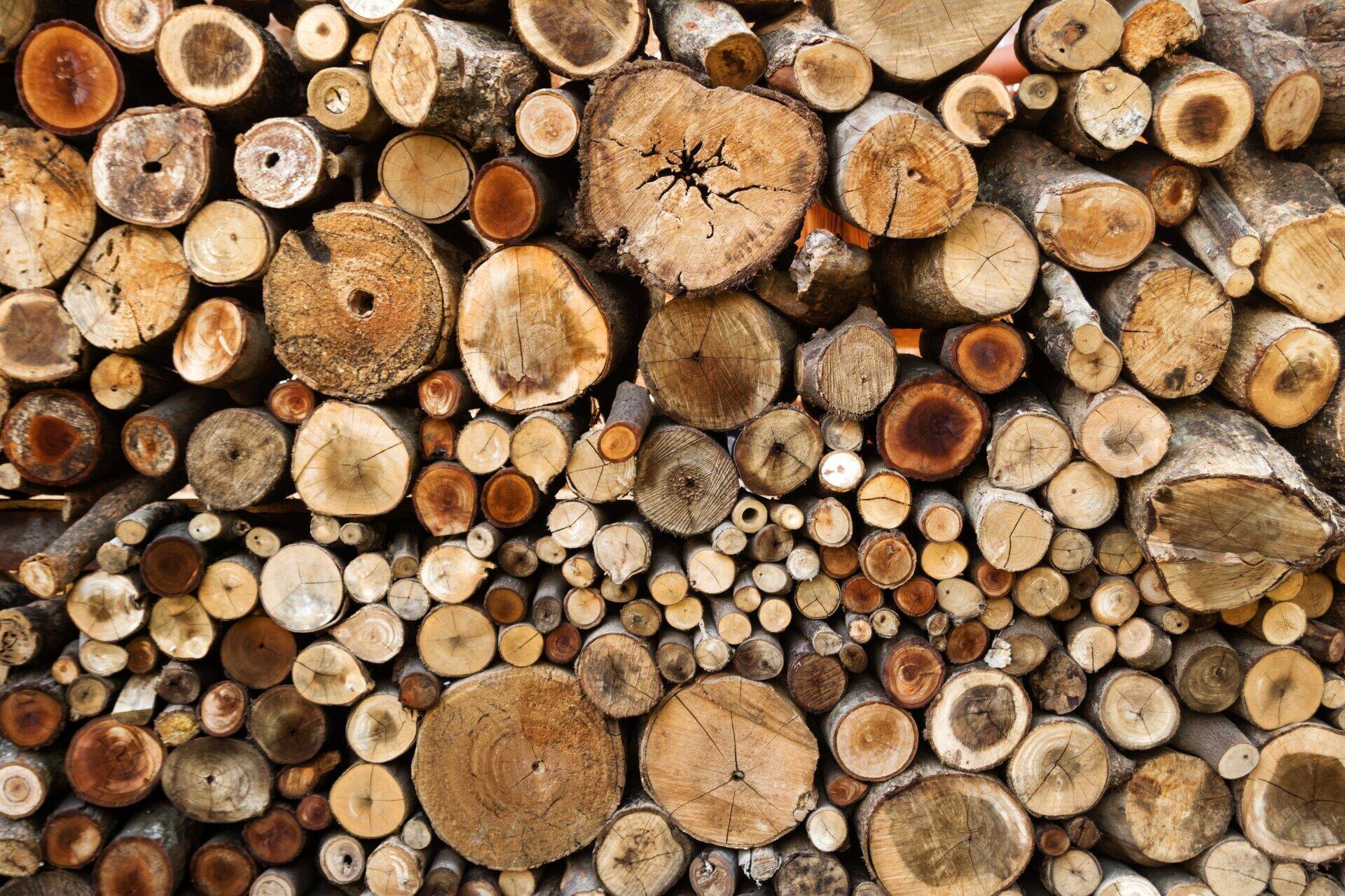 wall-from-dry-chopped-firewood-logs-stacked-up-on-2026-01-07-23-25-21-utc.jpg