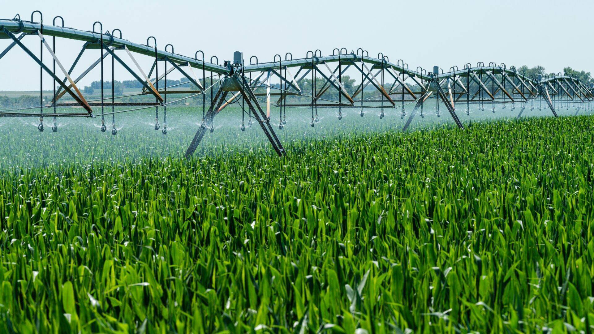 IPAGE-Végétal-Réduction-impacts-environnementaux