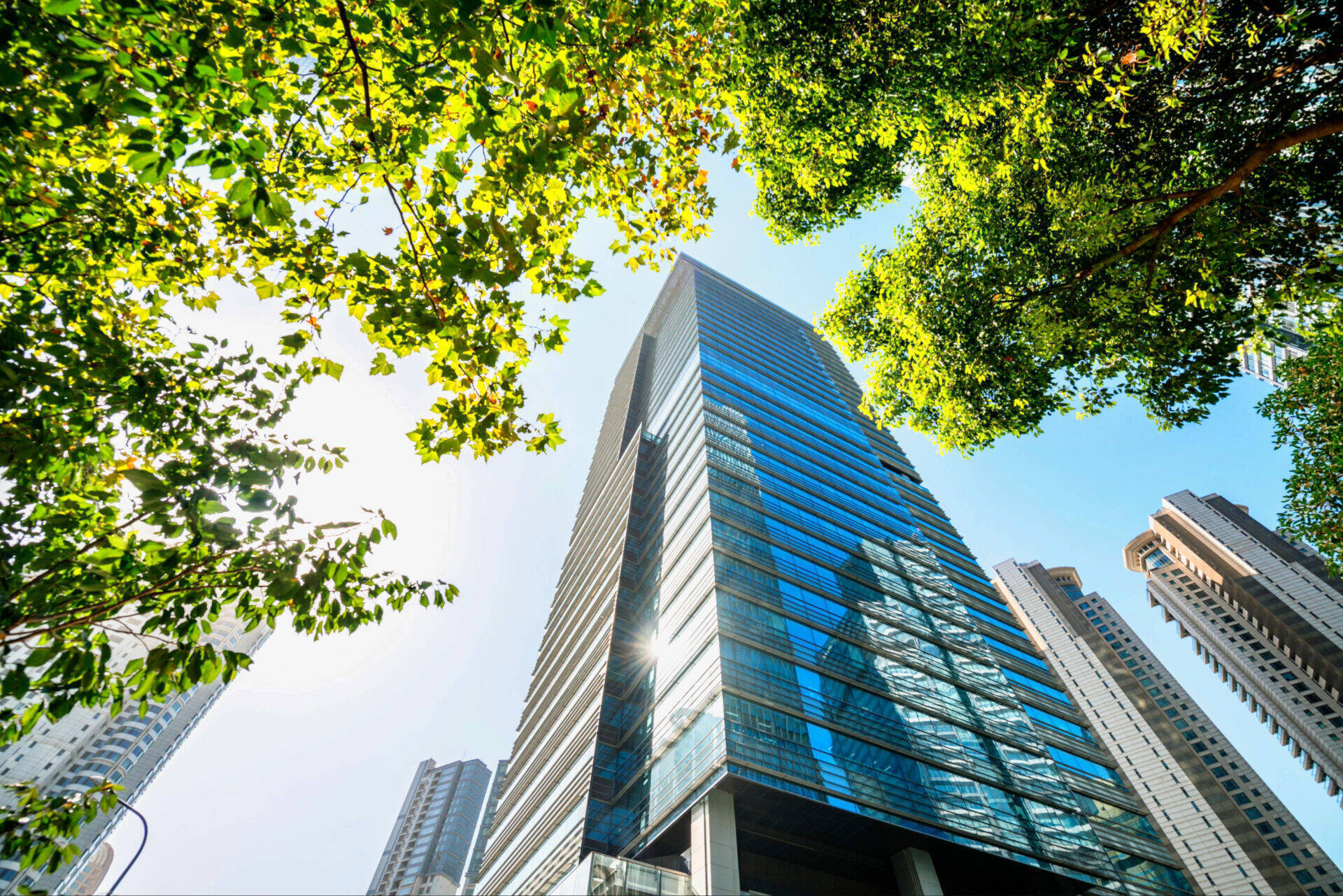 office-building-2026-03-24-13-51-34-utc-1.jpg