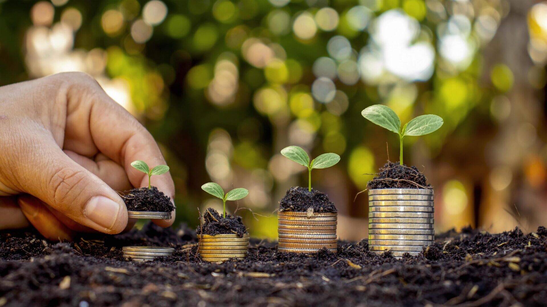 1997485-mani-umane-che-tengono-soldi-e-alberi-che-crescono-sul-denaro-investimento-crescita-finanziaria-concetto-gratuito-foto.jpg