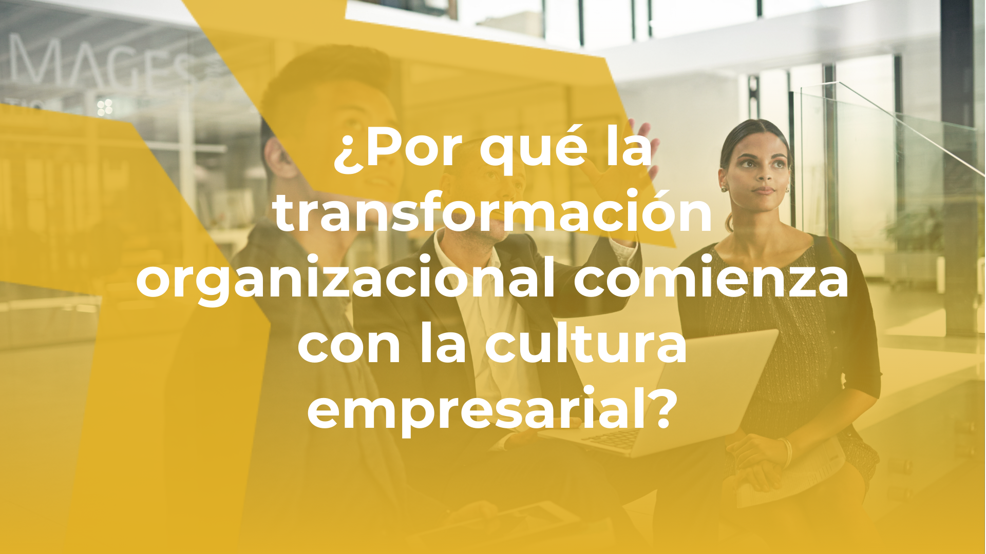 equipo debatiendo la transformación de su organización
